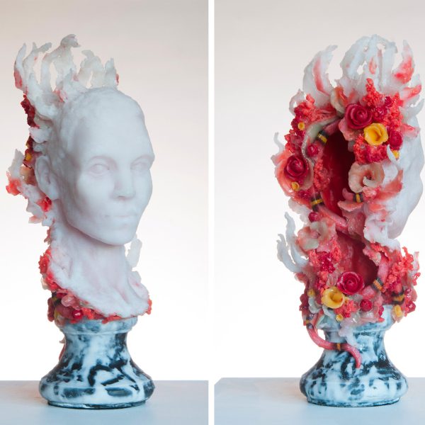 Blooming Orchid Gift